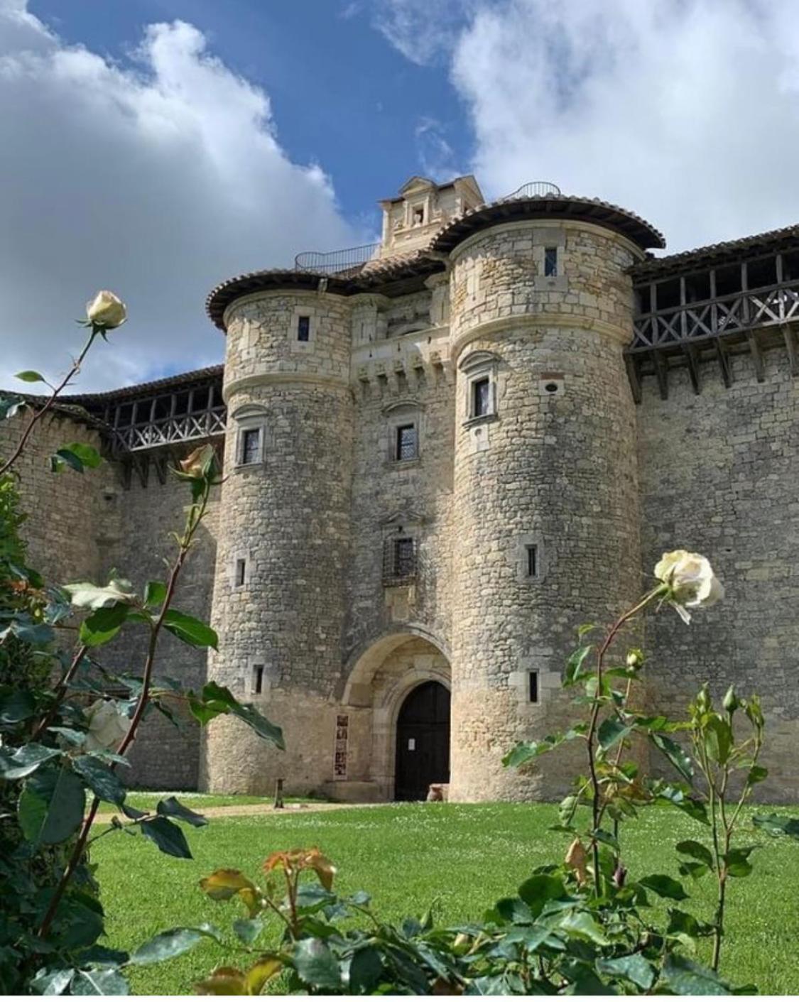 Puechblanc Gites Et Chambre D'Hote Dans Le Triangle D'Or Gaillac-Albi-Cordes Sur Ciel Fayssac Luaran gambar