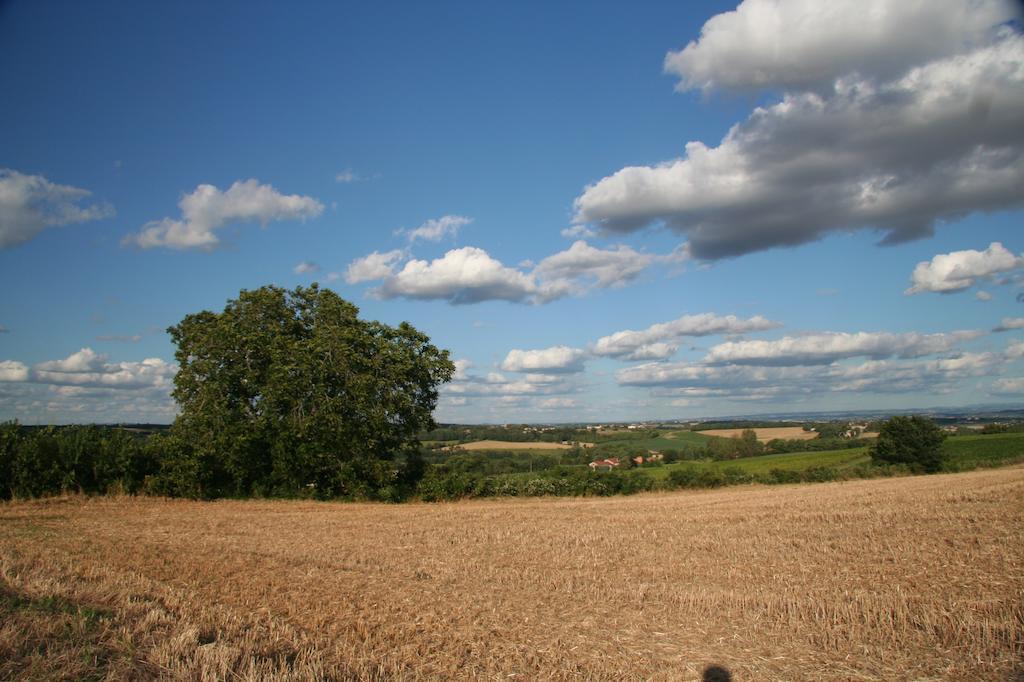 Puechblanc Gites Et Chambre D'Hote Dans Le Triangle D'Or Gaillac-Albi-Cordes Sur Ciel Fayssac Luaran gambar