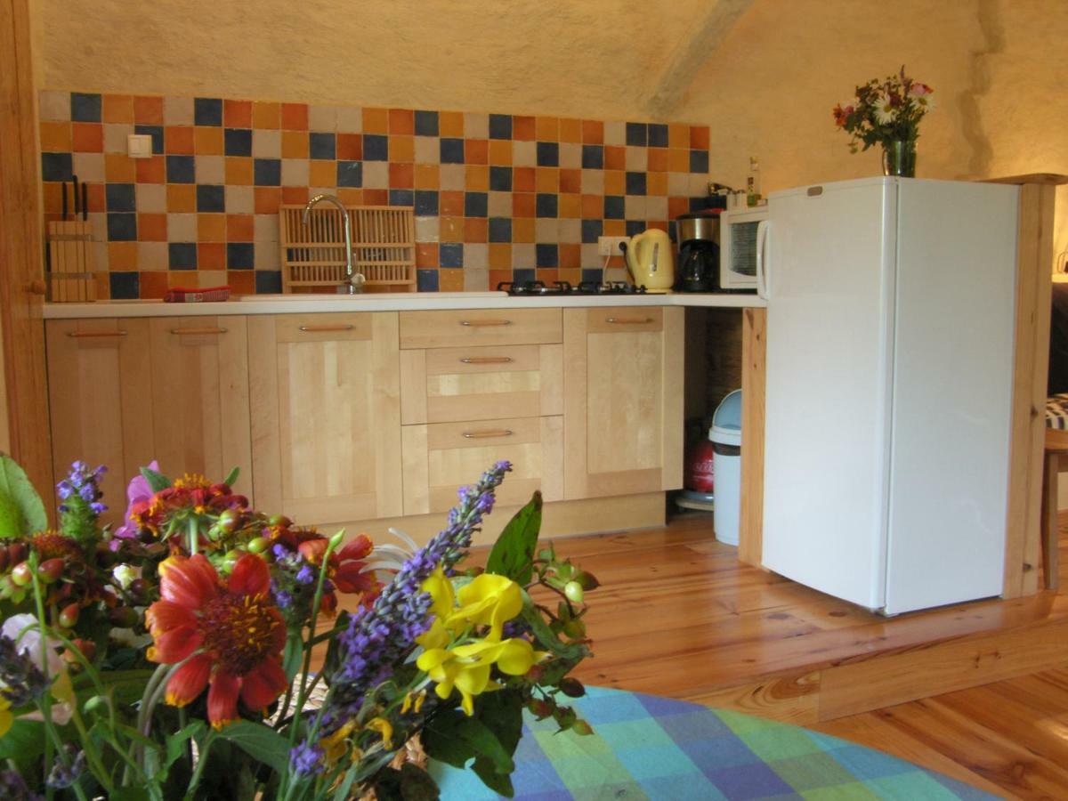 Puechblanc Gites Et Chambre D'Hote Dans Le Triangle D'Or Gaillac-Albi-Cordes Sur Ciel Fayssac Luaran gambar